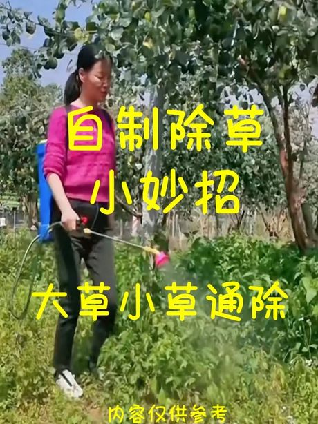 拔草，拔草的正确方法及注意事项