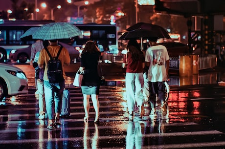 《雨霖铃》：唐代苏轼名篇赏析