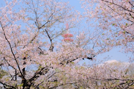 惊险刺激! 芙蓉隧道究竟是怎样的一条通道呢?