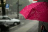 雨前龙井(雨前龙井：江南绿茶中的翘楚)