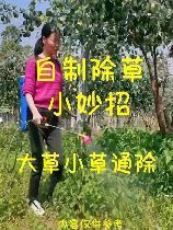 拔草，拔草的正确方法及注意事项