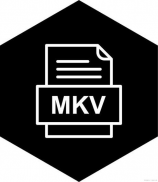 让你的MKV视频生动起来：MKV字幕的添加方法